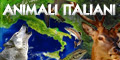 banner animali italiani